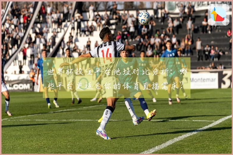 世界杯投注平台地址对比分析：哪些平台更适合你的体育直播需求？